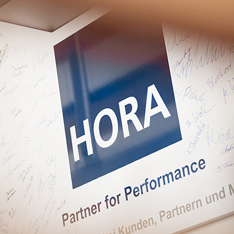 HORA Values