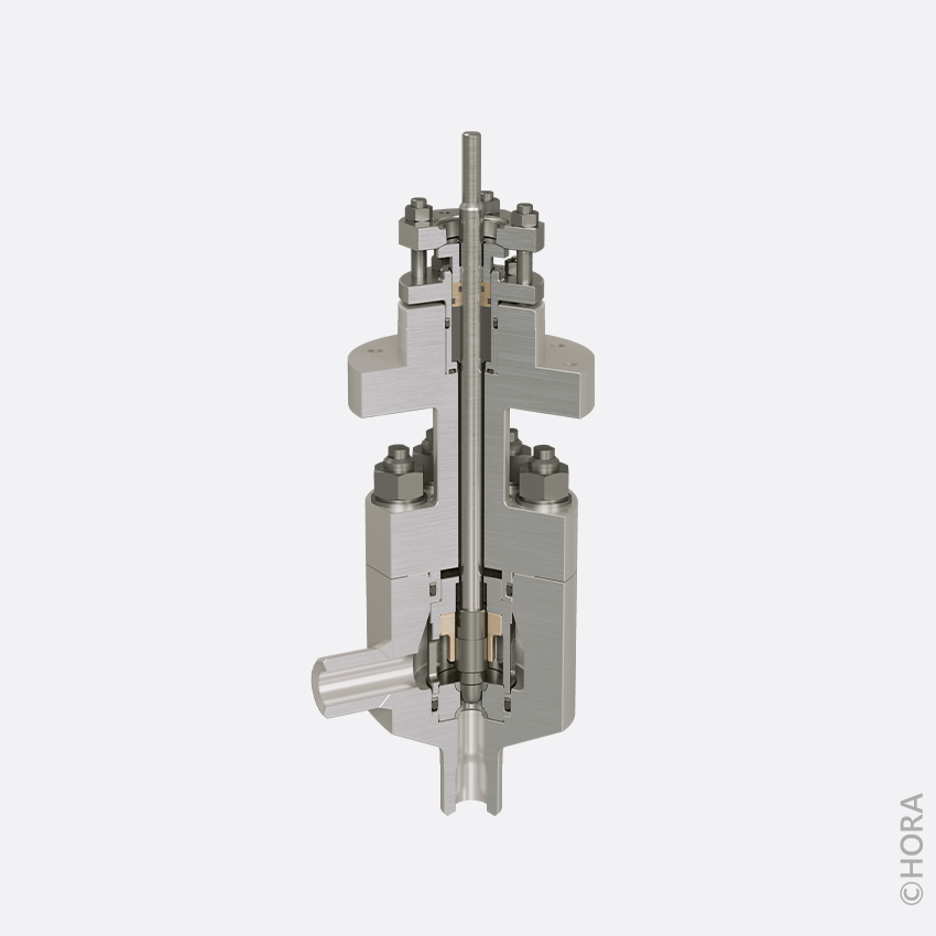 Control Valve for Process Technology