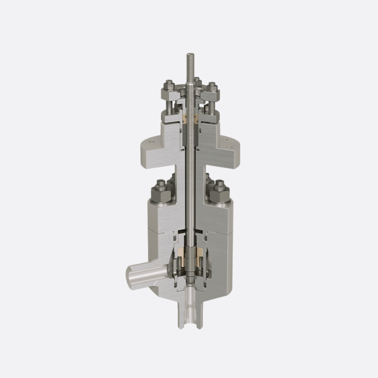 Control Valve for Process Technology