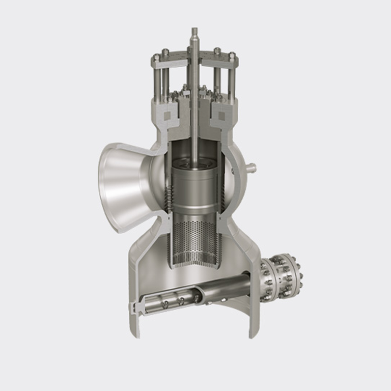 Steam Conditioning Valves
