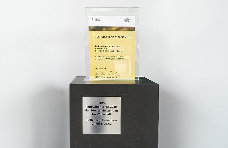 TOP INNOVATION AWARD 2010