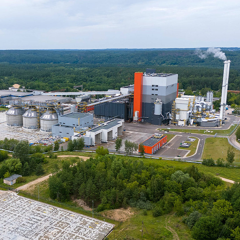 Biomass
